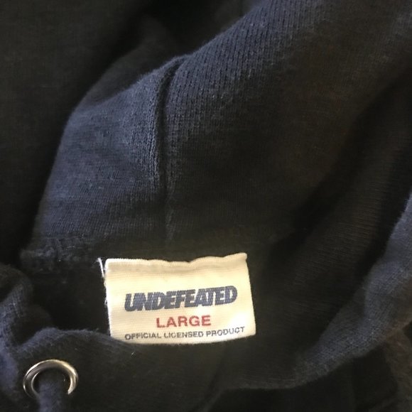 Undefeated Hoodie Japanese Flag - Picture 3 of 3